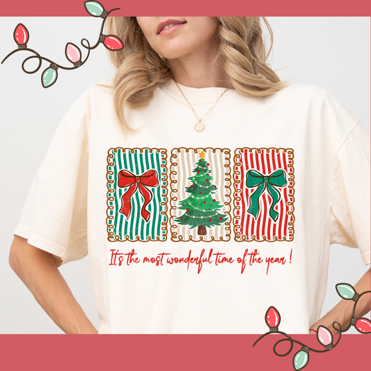 The most wonderful time of the year sweatshirt / T-shirt